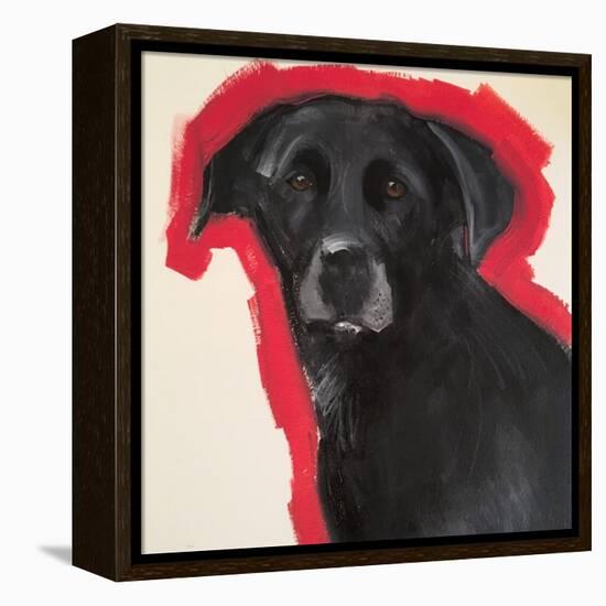 Labrador-Sally Muir-Framed Premier Image Canvas