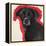 Labrador-Sally Muir-Framed Premier Image Canvas