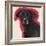 Labrador-Sally Muir-Framed Giclee Print