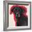 Labrador-Sally Muir-Framed Giclee Print