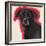 Labrador-Sally Muir-Framed Giclee Print