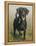 Labrador-John Silver-Framed Premier Image Canvas