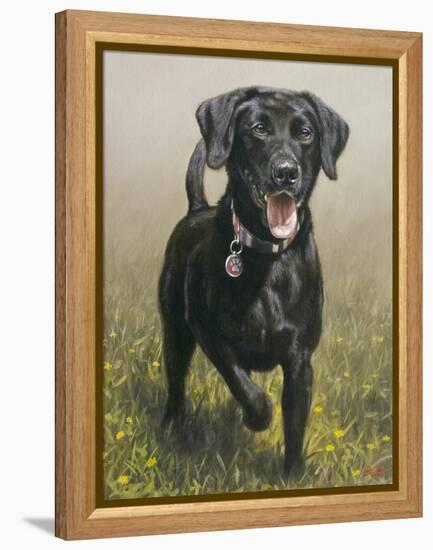 Labrador-John Silver-Framed Premier Image Canvas