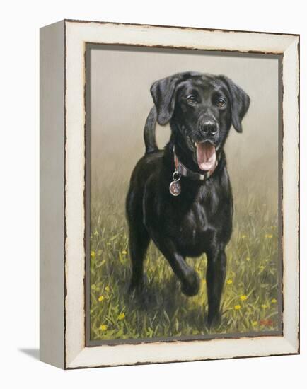 Labrador-John Silver-Framed Premier Image Canvas