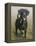 Labrador-John Silver-Framed Premier Image Canvas