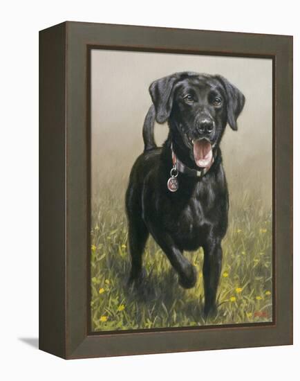 Labrador-John Silver-Framed Premier Image Canvas