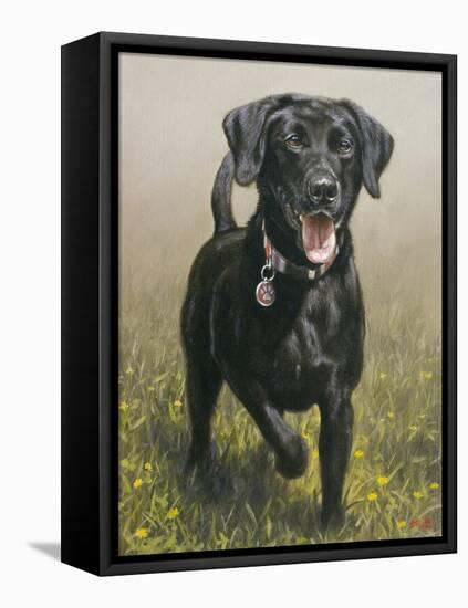 Labrador-John Silver-Framed Premier Image Canvas