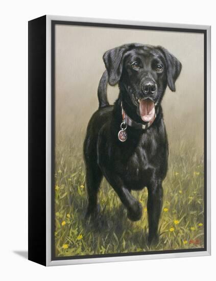 Labrador-John Silver-Framed Premier Image Canvas