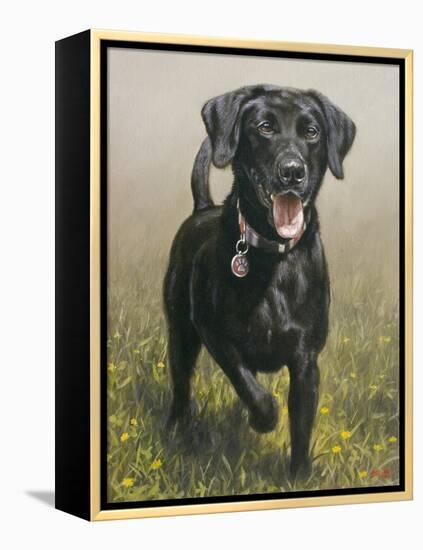 Labrador-John Silver-Framed Premier Image Canvas