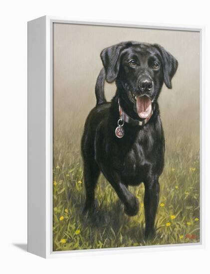 Labrador-John Silver-Framed Premier Image Canvas