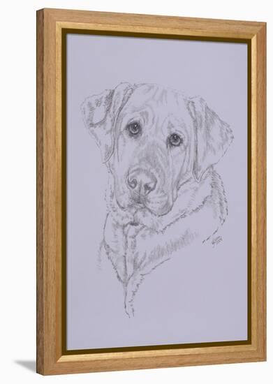 Labrador-Barbara Keith-Framed Premier Image Canvas