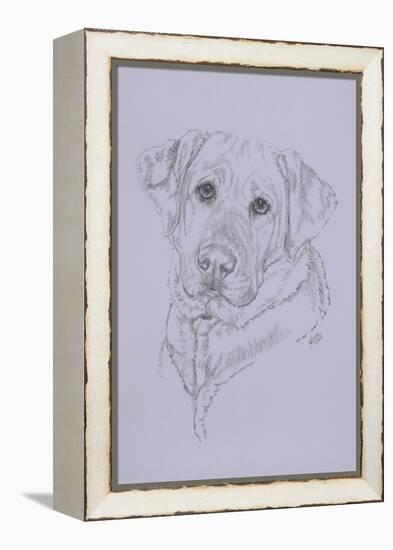 Labrador-Barbara Keith-Framed Premier Image Canvas