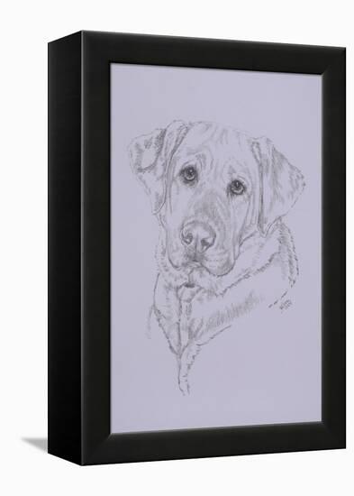 Labrador-Barbara Keith-Framed Premier Image Canvas