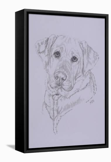 Labrador-Barbara Keith-Framed Premier Image Canvas