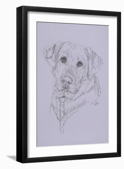 Labrador-Barbara Keith-Framed Giclee Print