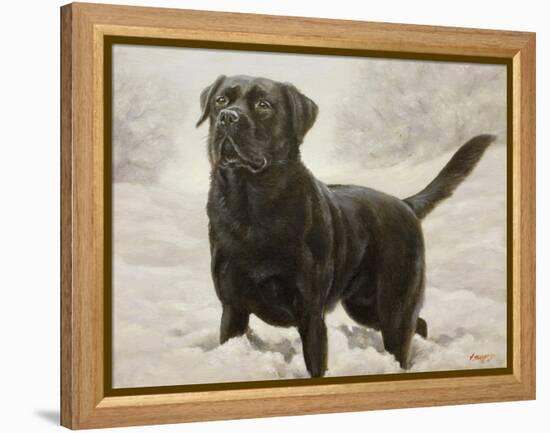 Labrador-John Silver-Framed Premier Image Canvas