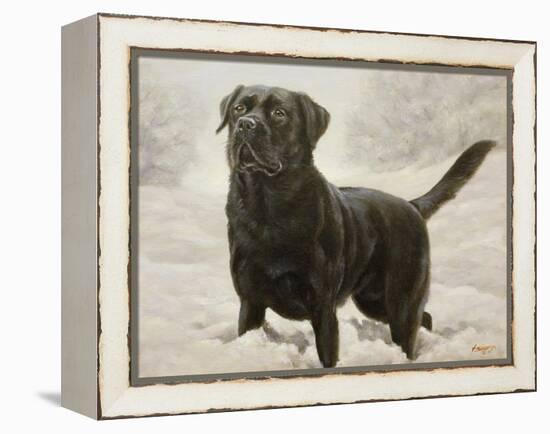 Labrador-John Silver-Framed Premier Image Canvas