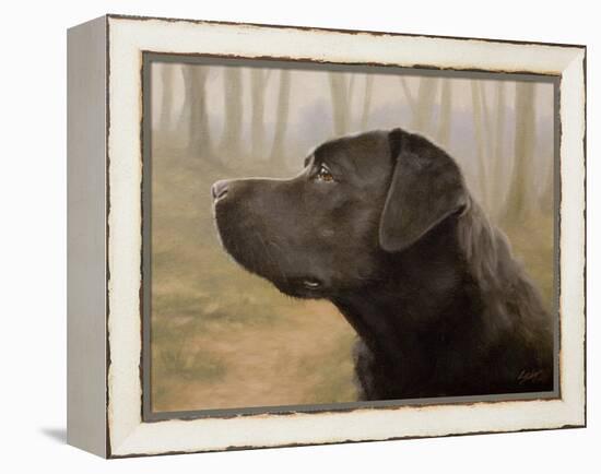 Labrador-John Silver-Framed Premier Image Canvas