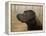 Labrador-John Silver-Framed Premier Image Canvas