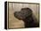 Labrador-John Silver-Framed Premier Image Canvas