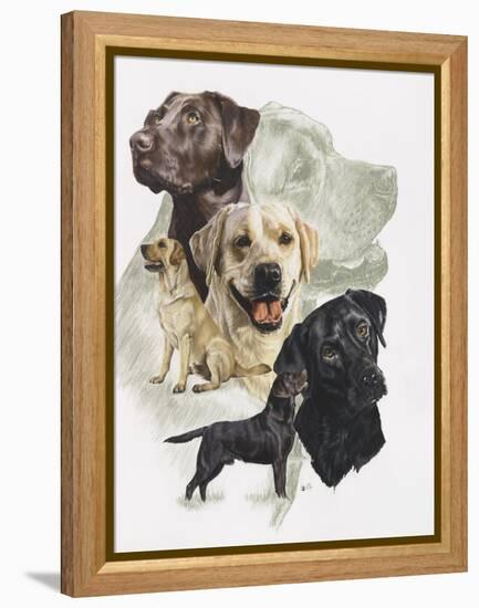 Labrador-Barbara Keith-Framed Premier Image Canvas