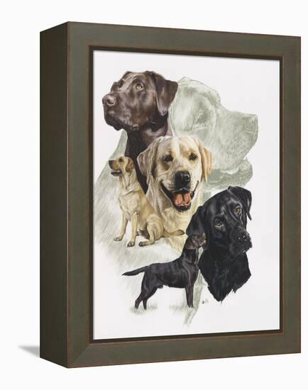 Labrador-Barbara Keith-Framed Premier Image Canvas