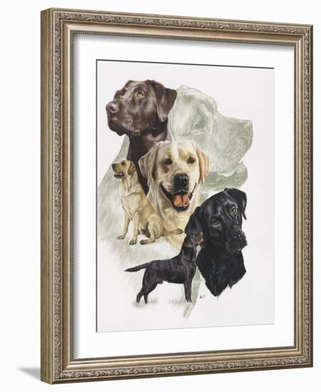 Labrador-Barbara Keith-Framed Giclee Print