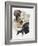 Labrador-Barbara Keith-Framed Giclee Print