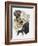 Labrador-Barbara Keith-Framed Giclee Print