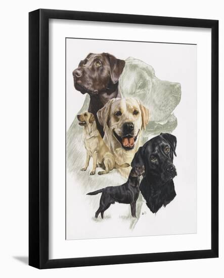 Labrador-Barbara Keith-Framed Giclee Print