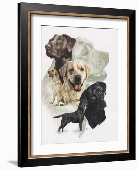 Labrador-Barbara Keith-Framed Giclee Print