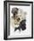 Labrador-Barbara Keith-Framed Giclee Print