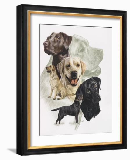 Labrador-Barbara Keith-Framed Giclee Print