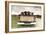 Labradors in a Vintage Truck-claire norman-Framed Photographic Print