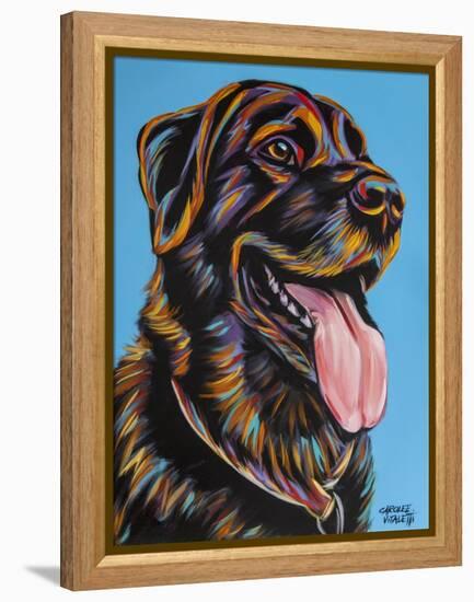 Labs I-Carolee Vitaletti-Framed Stretched Canvas