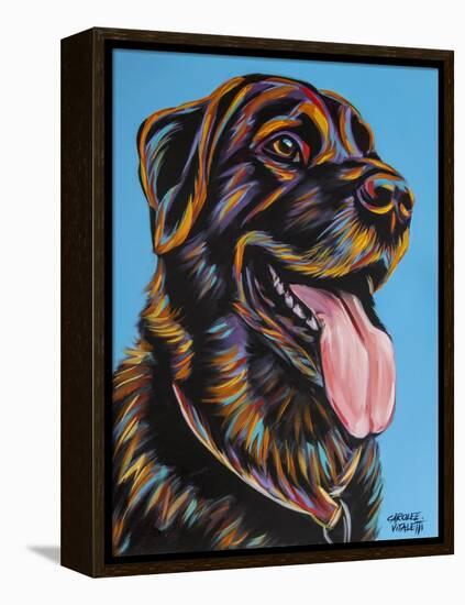 Labs I-Carolee Vitaletti-Framed Stretched Canvas