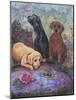 Labs-Judy Mastrangelo-Mounted Giclee Print