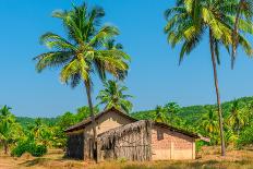 Abandoned Building in A Coconut Grove in the Tropics-Labunskiy K-Framed Premier Image Canvas