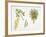 Laburnum Anagyroides Plant with Flower, Leaf and Fruit-null-Framed Giclee Print