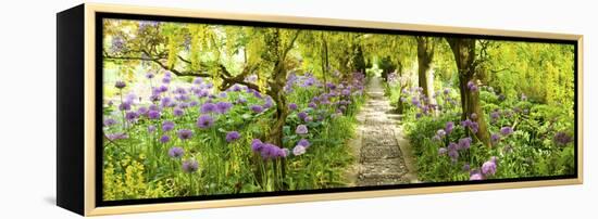 Laburnum Trees at Barnsley House Gardens, Gloucestershire, England-null-Framed Stretched Canvas