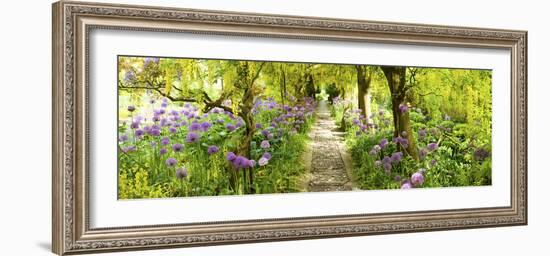 Laburnum Trees at Barnsley House Gardens, Gloucestershire, England--Framed Photographic Print