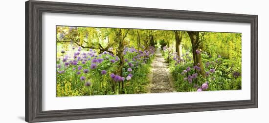 Laburnum Trees at Barnsley House Gardens, Gloucestershire, England-null-Framed Photographic Print