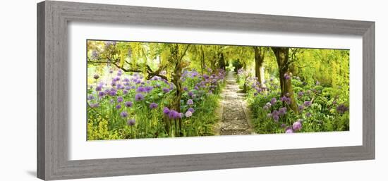 Laburnum Trees at Barnsley House Gardens, Gloucestershire, England-null-Framed Photographic Print