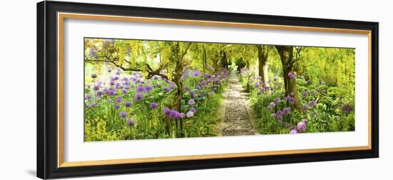 Laburnum Trees at Barnsley House Gardens, Gloucestershire, England-null-Framed Photographic Print