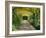 Laburnum Walk in Wilderness Gardens, Hampton Court, Greater London, England, United Kingdom-Walter Rawlings-Framed Photographic Print