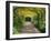 Laburnum Walk in Wilderness Gardens, Hampton Court, Greater London, England, United Kingdom-Walter Rawlings-Framed Photographic Print