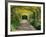 Laburnum Walk in Wilderness Gardens, Hampton Court, Greater London, England, United Kingdom-Walter Rawlings-Framed Photographic Print