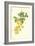 Laburnum-Frederick Edward Hulme-Framed Giclee Print