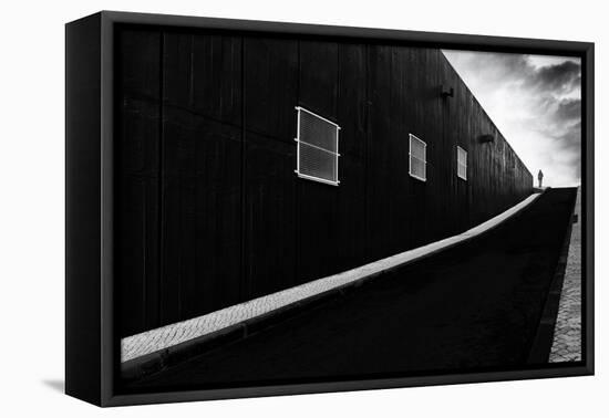 Labyrinth of Air-Paulo Abrantes-Framed Premier Image Canvas