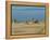 Lac Abbe (Lake Abhe Bad) With Its Chimneys, Republic of Djibouti, Africa-null-Framed Premier Image Canvas